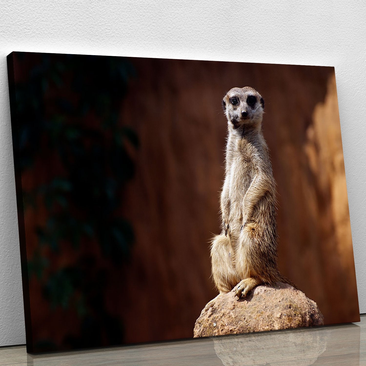 Standing African suricata meerkat Canvas Print or Poster