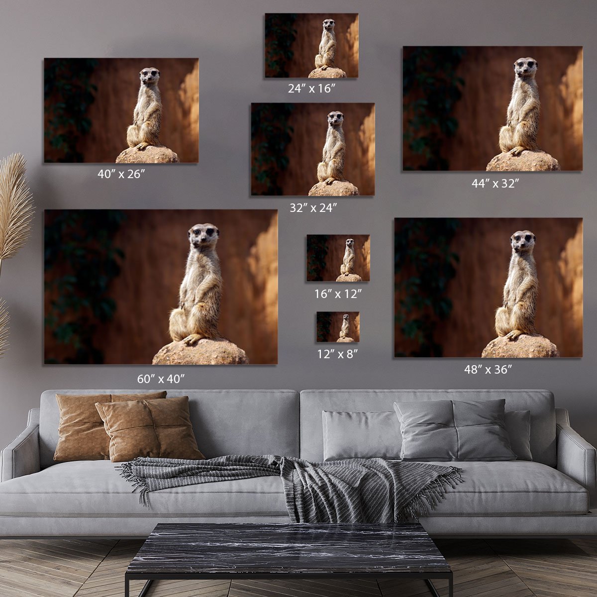 Standing African suricata meerkat Canvas Print or Poster