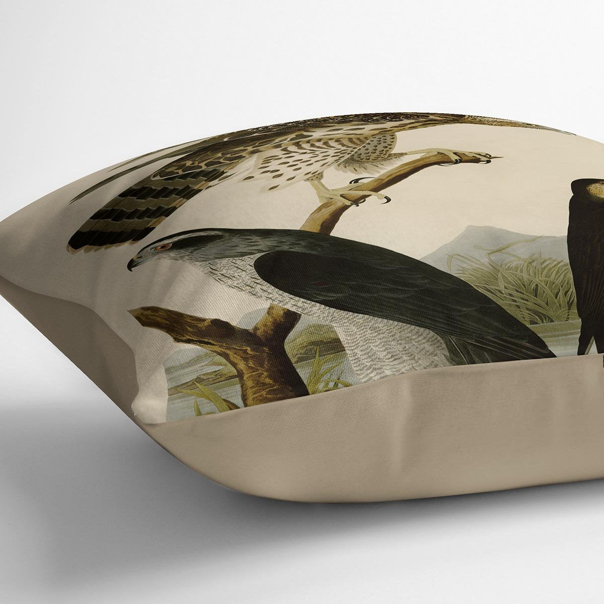 Stanley Hawk by Audubon Cushion