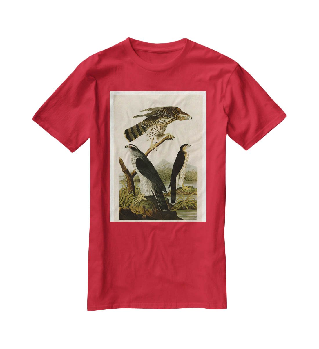 Stanley Hawk by Audubon T-Shirt - Canvas Art Rocks - 4