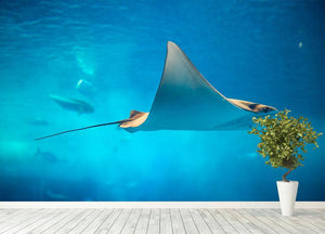 Stingray in the aquarium Wall Mural Wallpaper - Canvas Art Rocks - 4