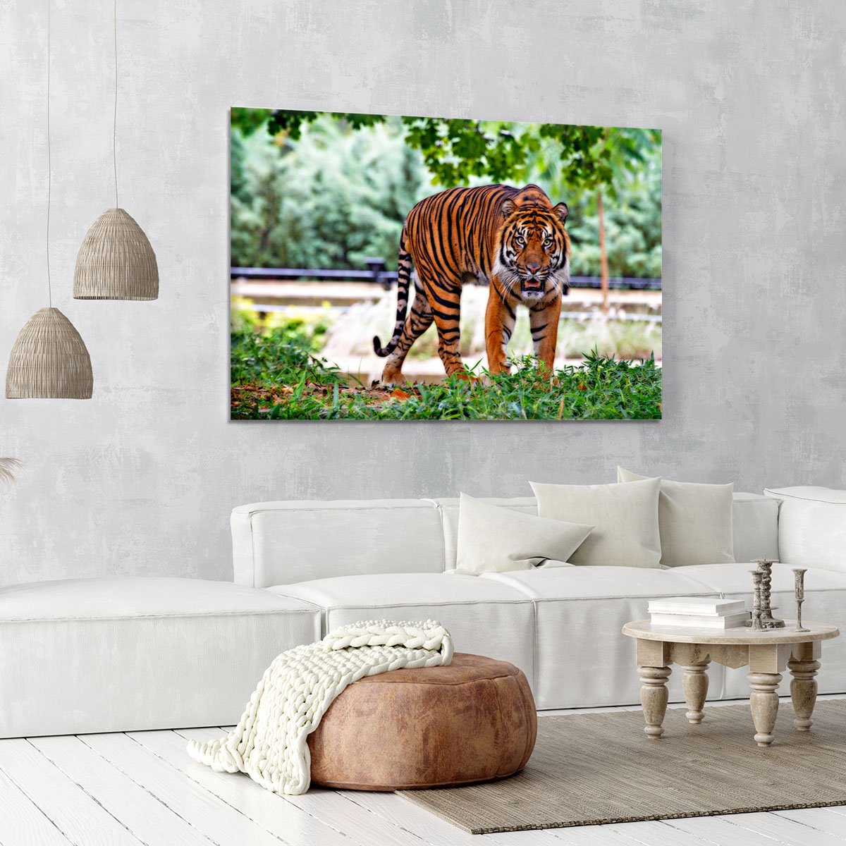 Sumatran Tiger Canvas Print or Poster