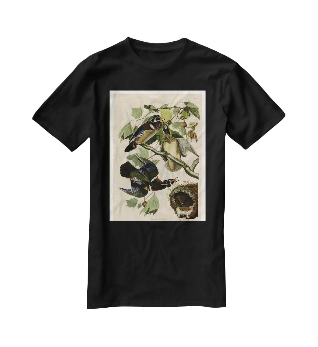 Summer Duck by Audubon T-Shirt - Canvas Art Rocks - 1