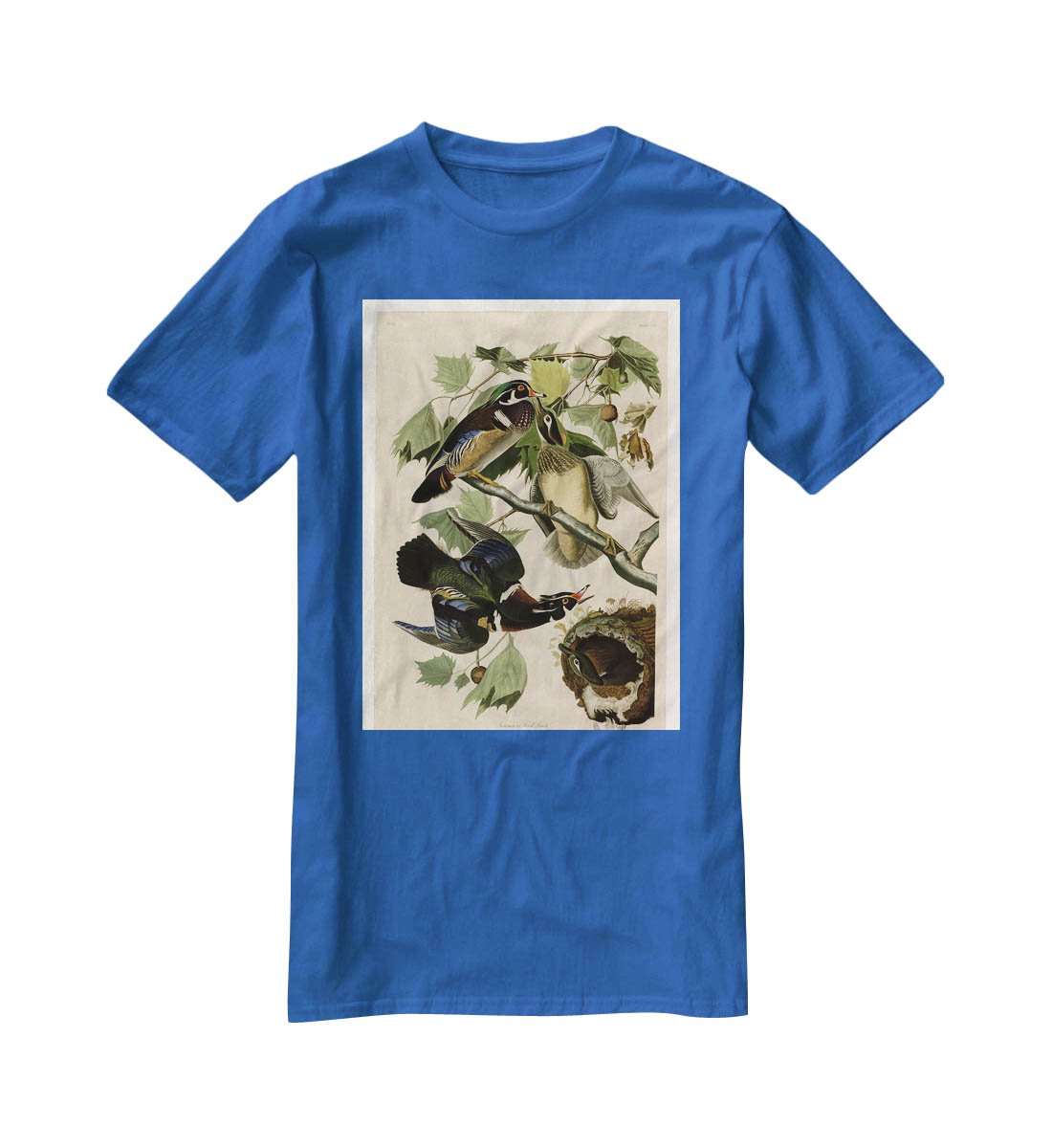 Summer Duck by Audubon T-Shirt - Canvas Art Rocks - 2