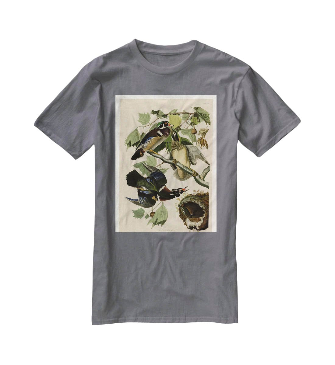 Summer Duck by Audubon T-Shirt - Canvas Art Rocks - 3