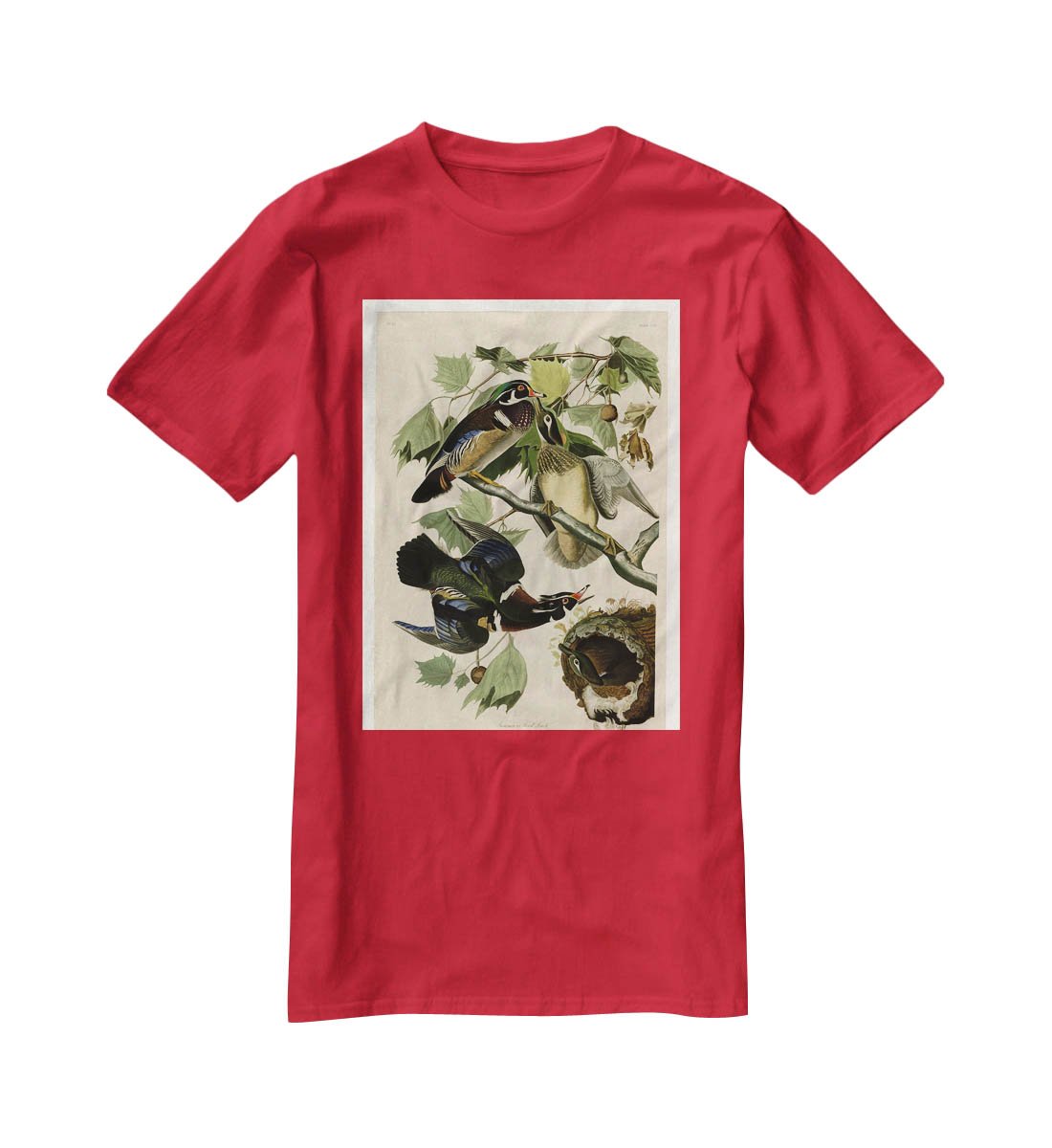 Summer Duck by Audubon T-Shirt - Canvas Art Rocks - 4