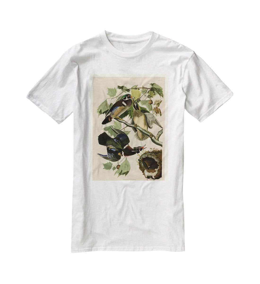 Summer Duck by Audubon T-Shirt - Canvas Art Rocks - 5