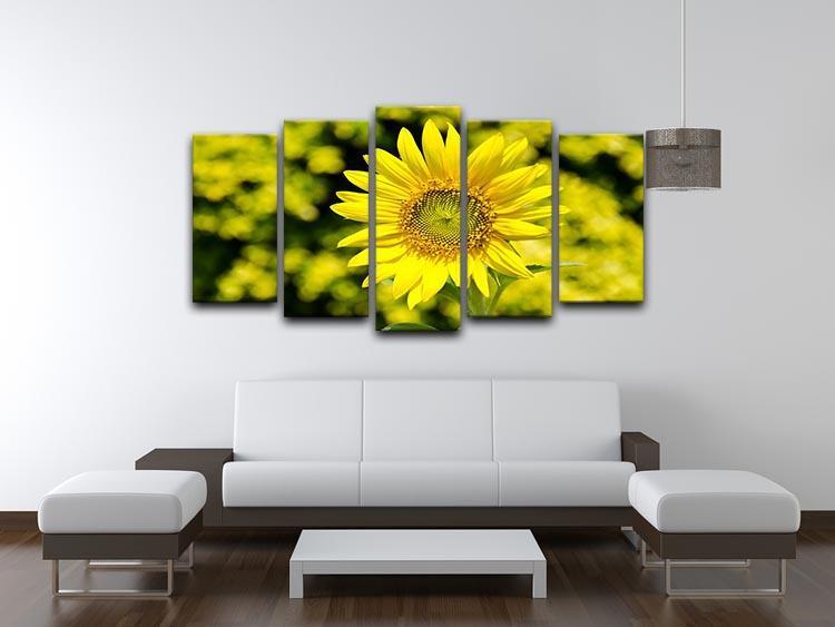Sunflowers bloom in summer 5 Split Panel Canvas  - Canvas Art Rocks - 3