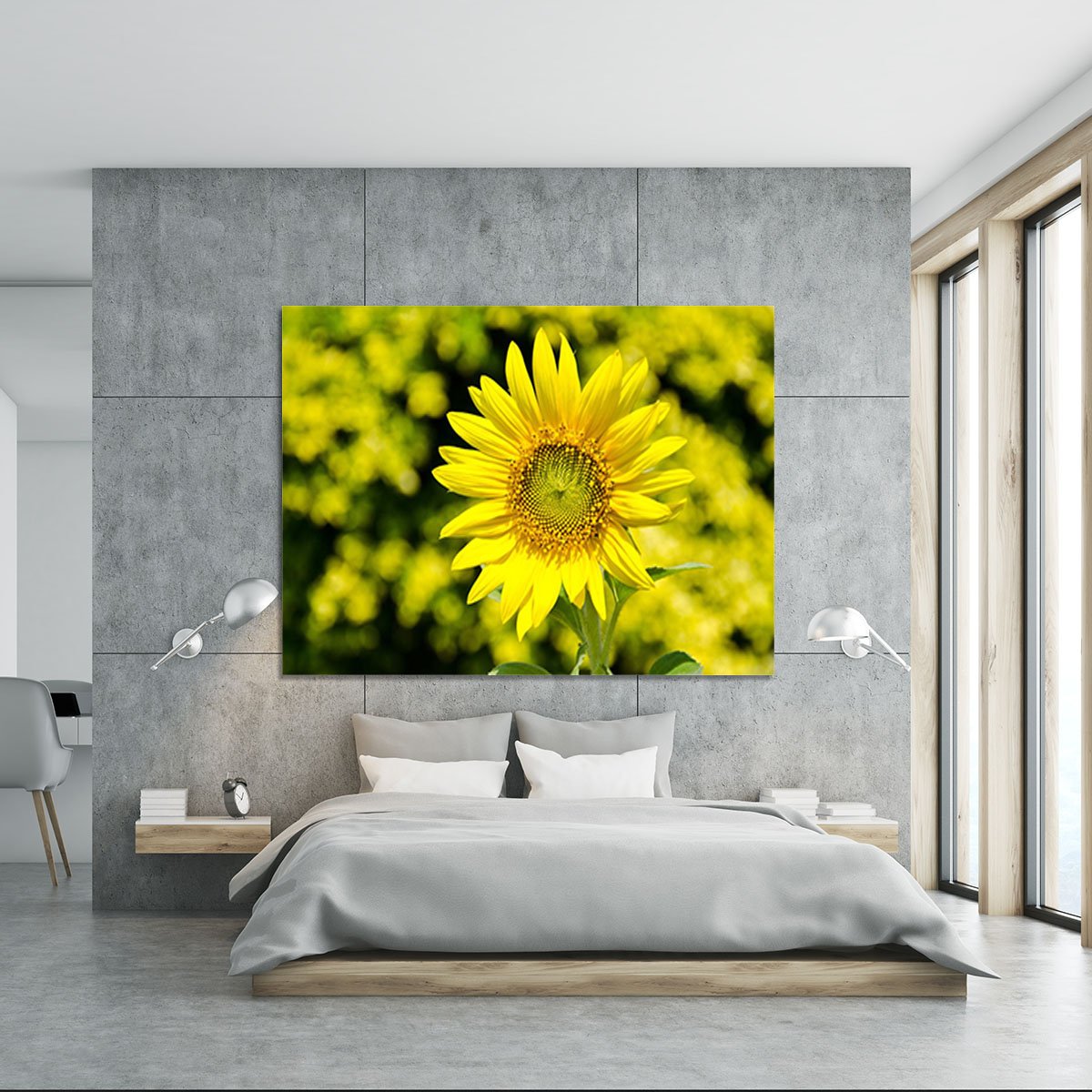 Sunflowers bloom in summer Canvas Print or Poster