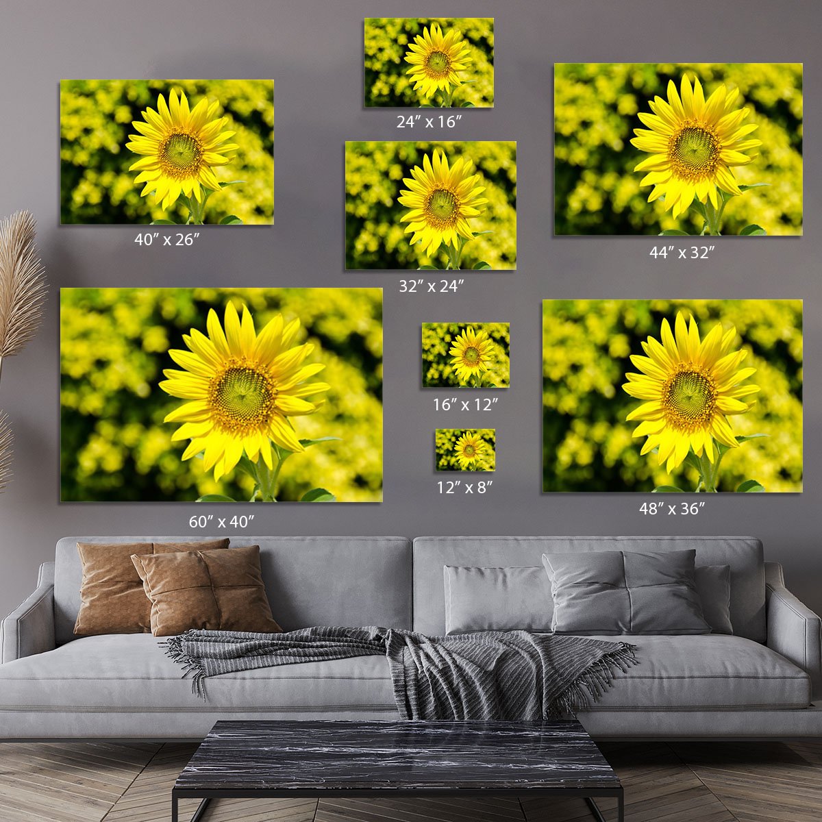 Sunflowers bloom in summer Canvas Print or Poster