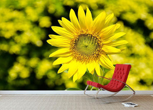 Sunflowers bloom in summer Wall Mural Wallpaper - Canvas Art Rocks - 2