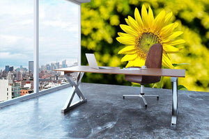 Sunflowers bloom in summer Wall Mural Wallpaper - Canvas Art Rocks - 3