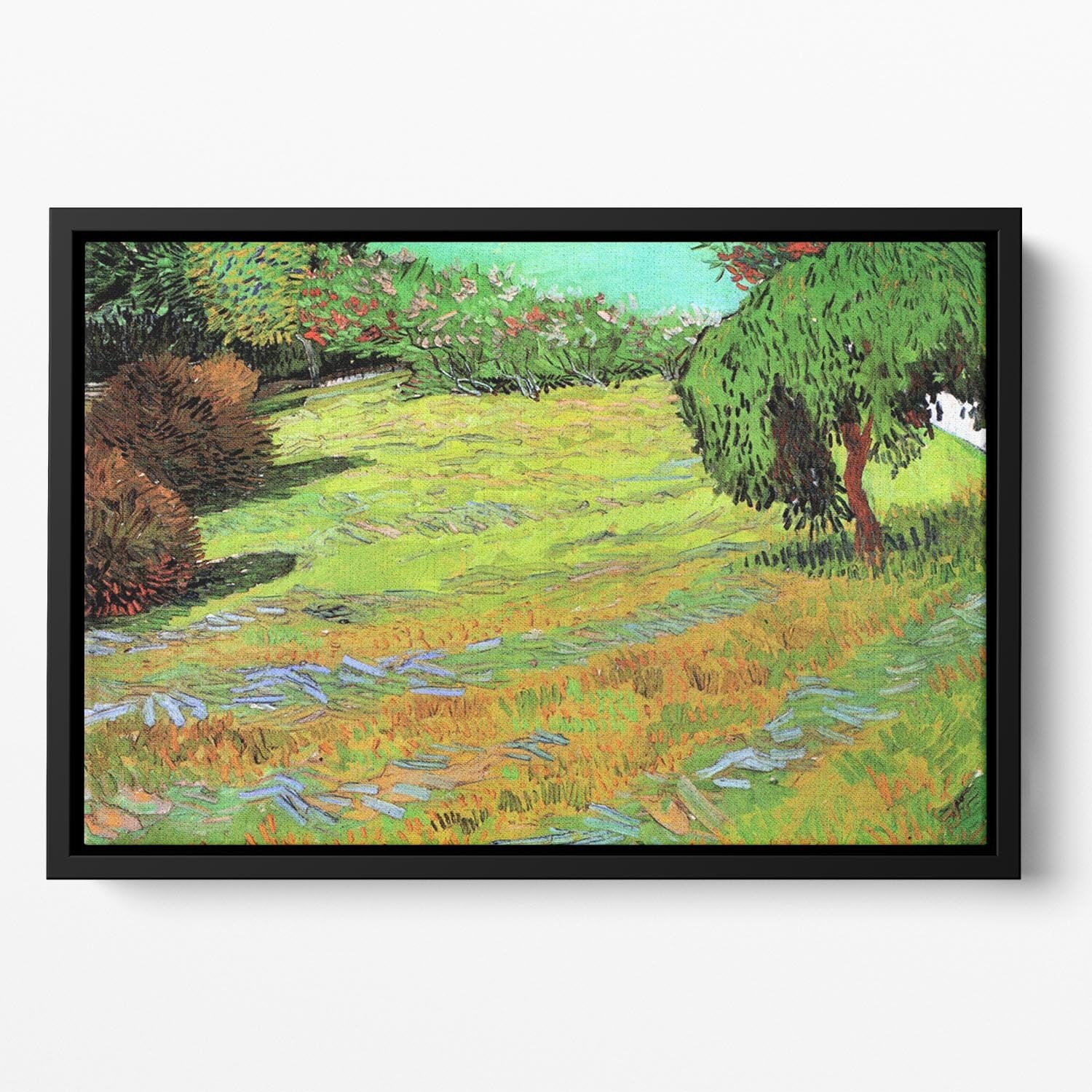 Sunny Lawn in a Public Park by Van Gogh Floating Framed Canvas