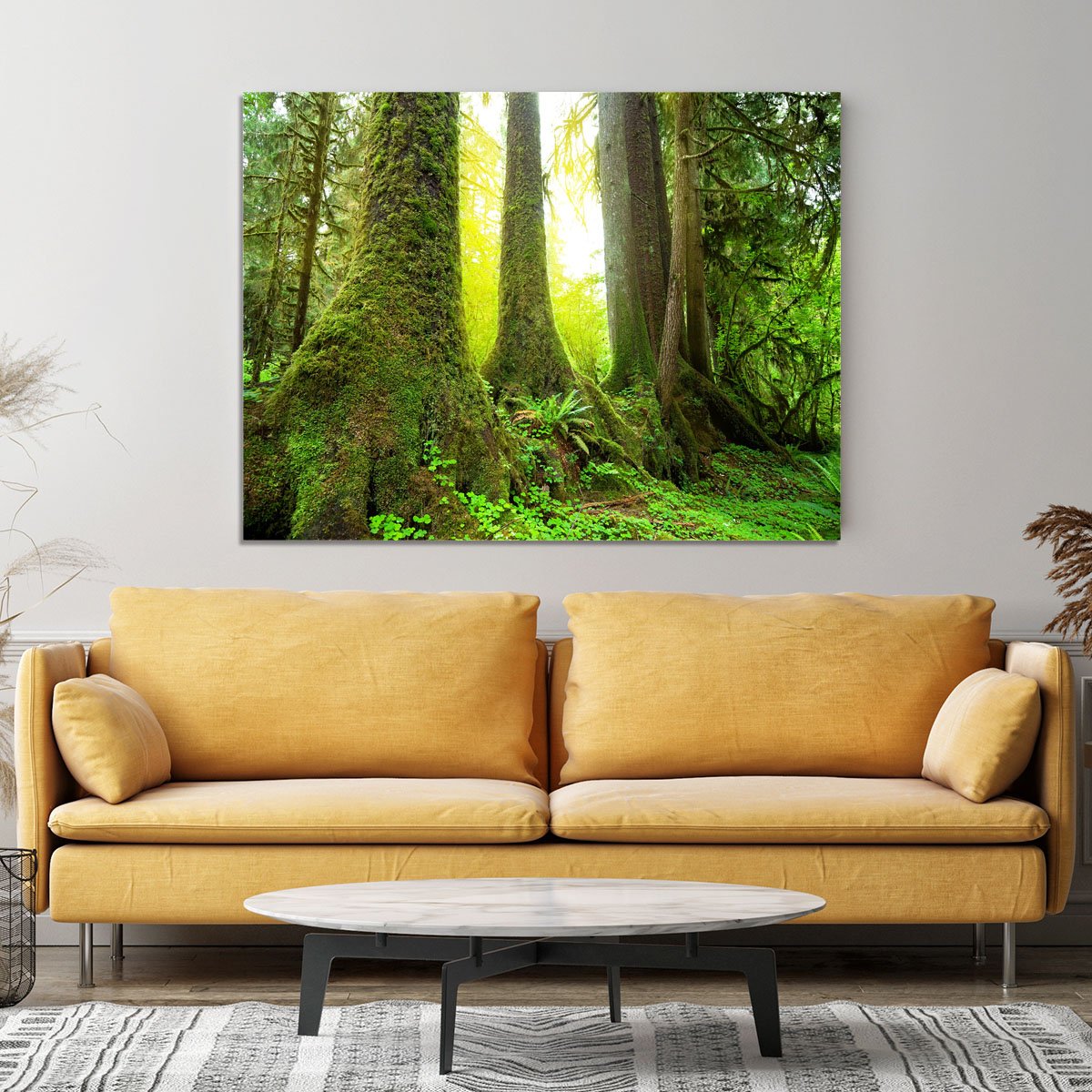 Sunny beams in forest Canvas Print or Poster