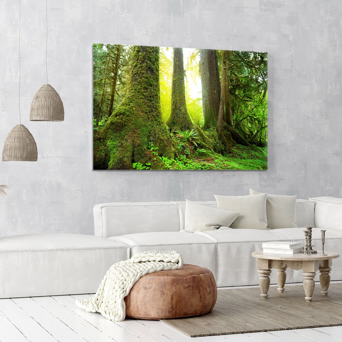 Sunny beams in forest Canvas Print or Poster