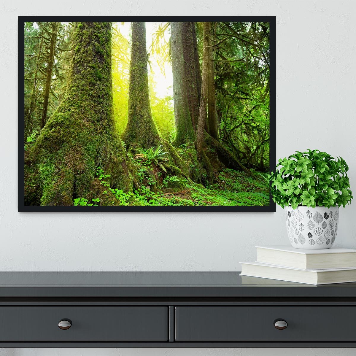 Sunny beams in forest Framed Print - Canvas Art Rocks - 2