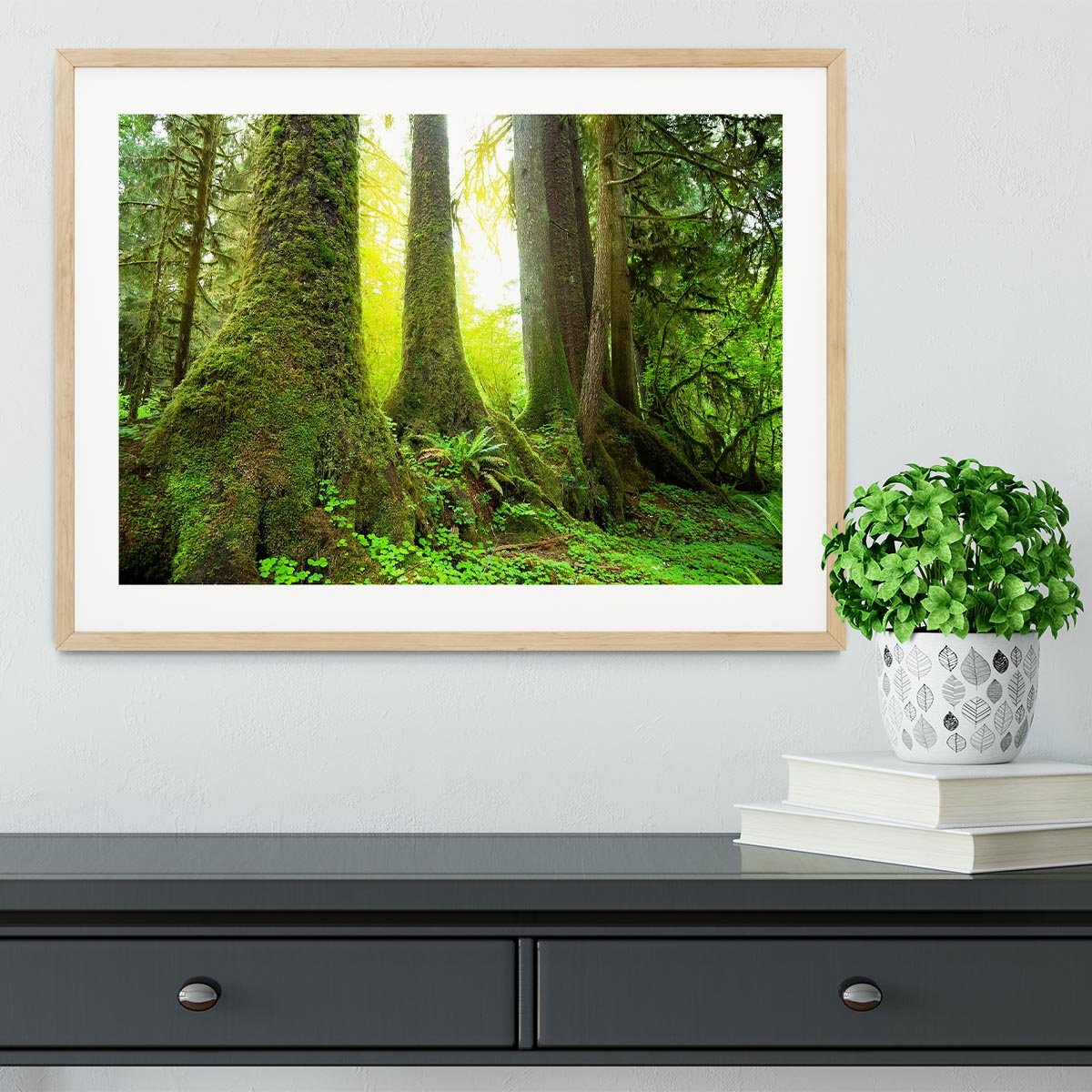 Sunny beams in forest Framed Print - Canvas Art Rocks - 3