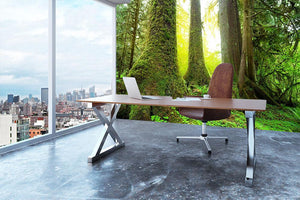 Sunny beams in forest Wall Mural Wallpaper - Canvas Art Rocks - 3