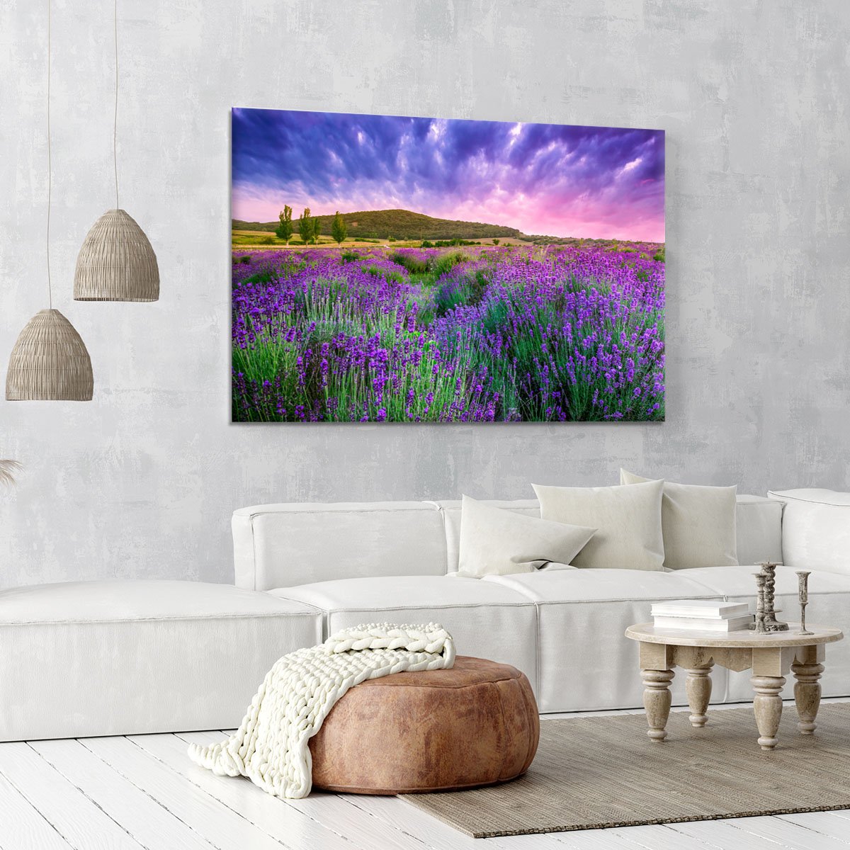 Sunset over a summer lavender field Canvas Print or Poster