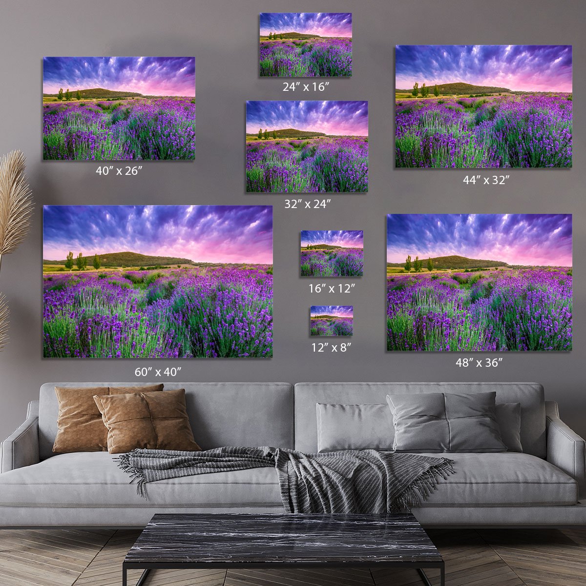 Sunset over a summer lavender field Canvas Print or Poster