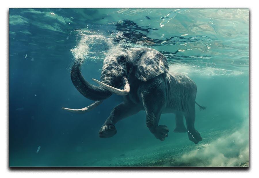 Swimming Elephant Underwater Canvas Print or Poster - Canvas Art Rocks - 1