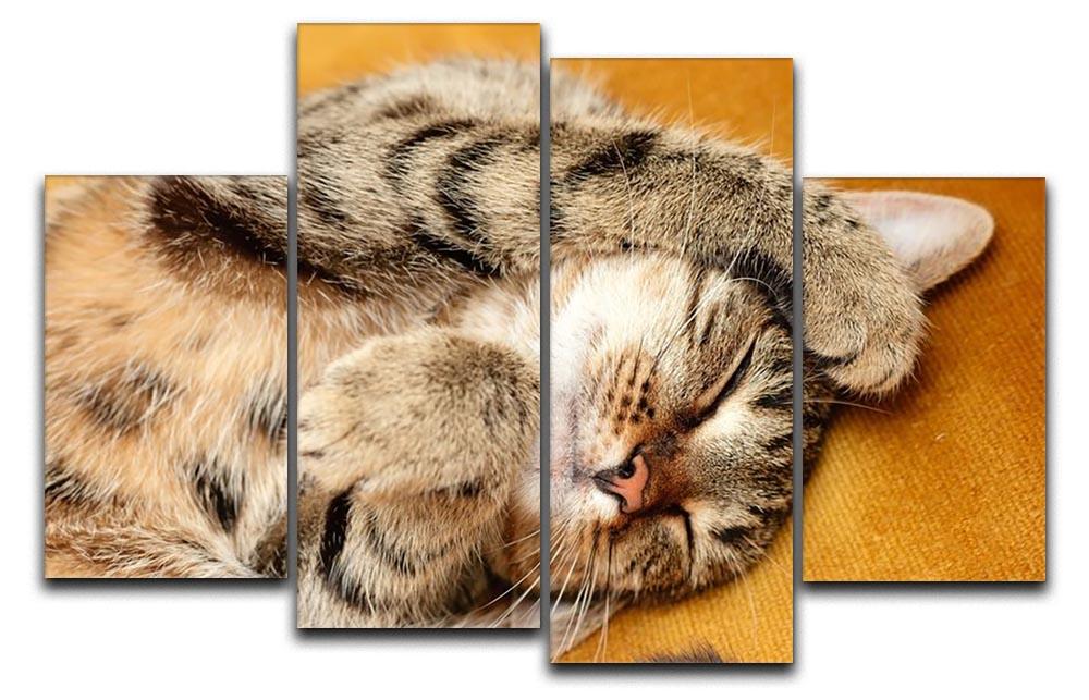 Tabby sweet sleeping on the bed 4 Split Panel Canvas - Canvas Art Rocks - 1