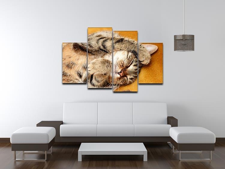 Tabby sweet sleeping on the bed 4 Split Panel Canvas - Canvas Art Rocks - 3