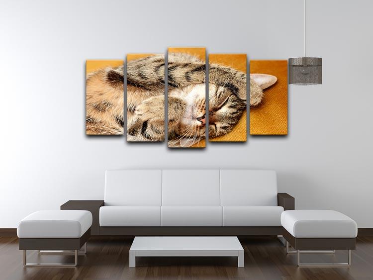 Tabby sweet sleeping on the bed 5 Split Panel Canvas - Canvas Art Rocks - 3