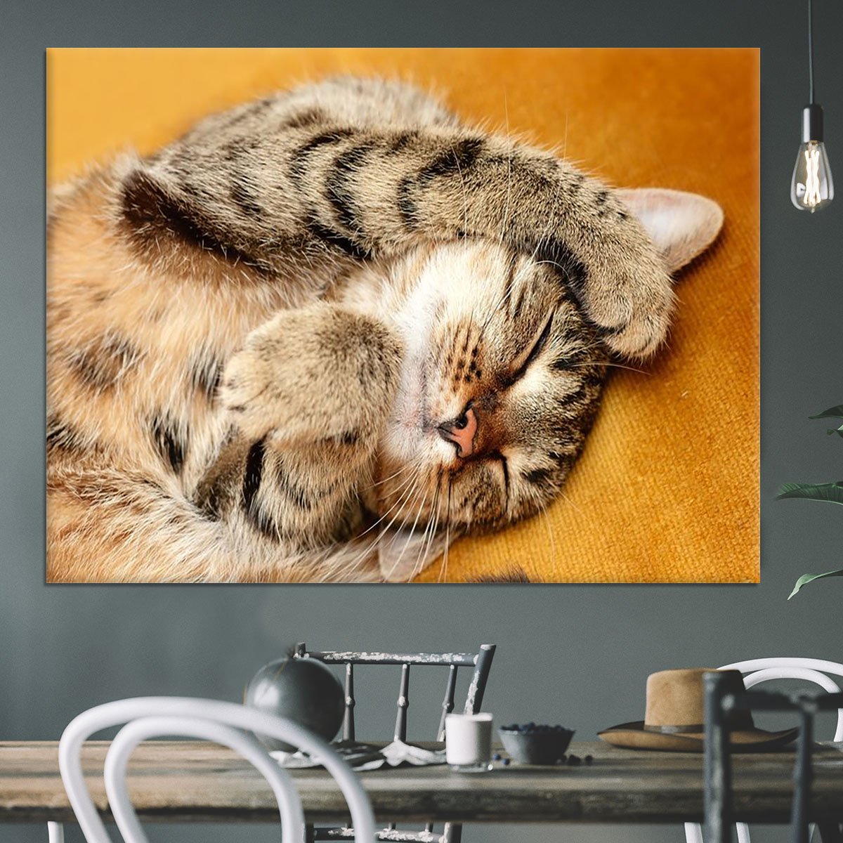 Tabby sweet sleeping on the bed Canvas Print or Poster