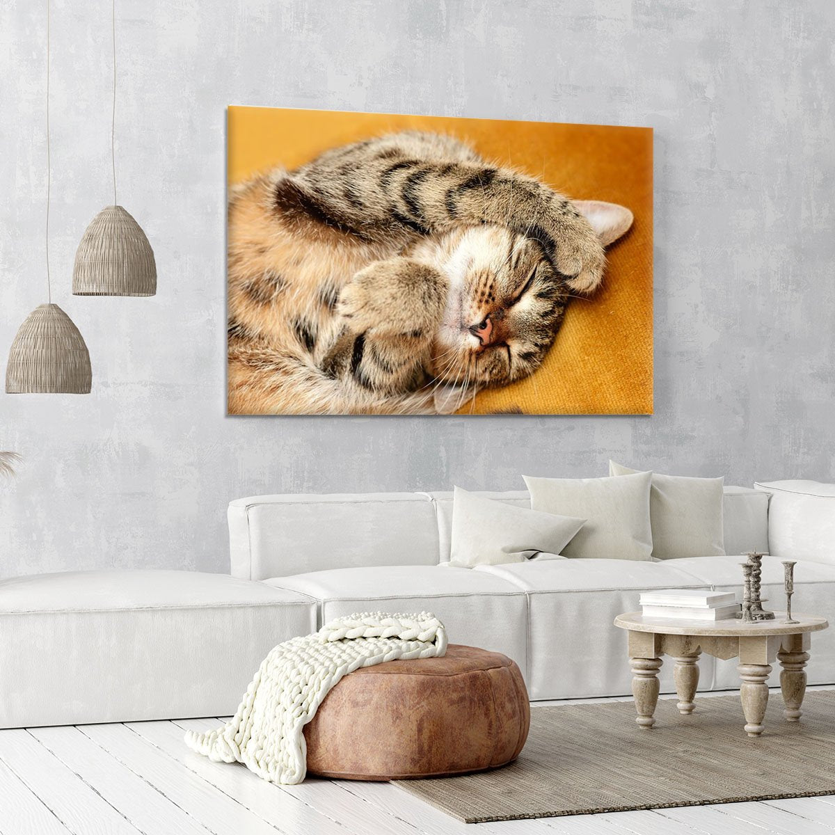 Tabby sweet sleeping on the bed Canvas Print or Poster