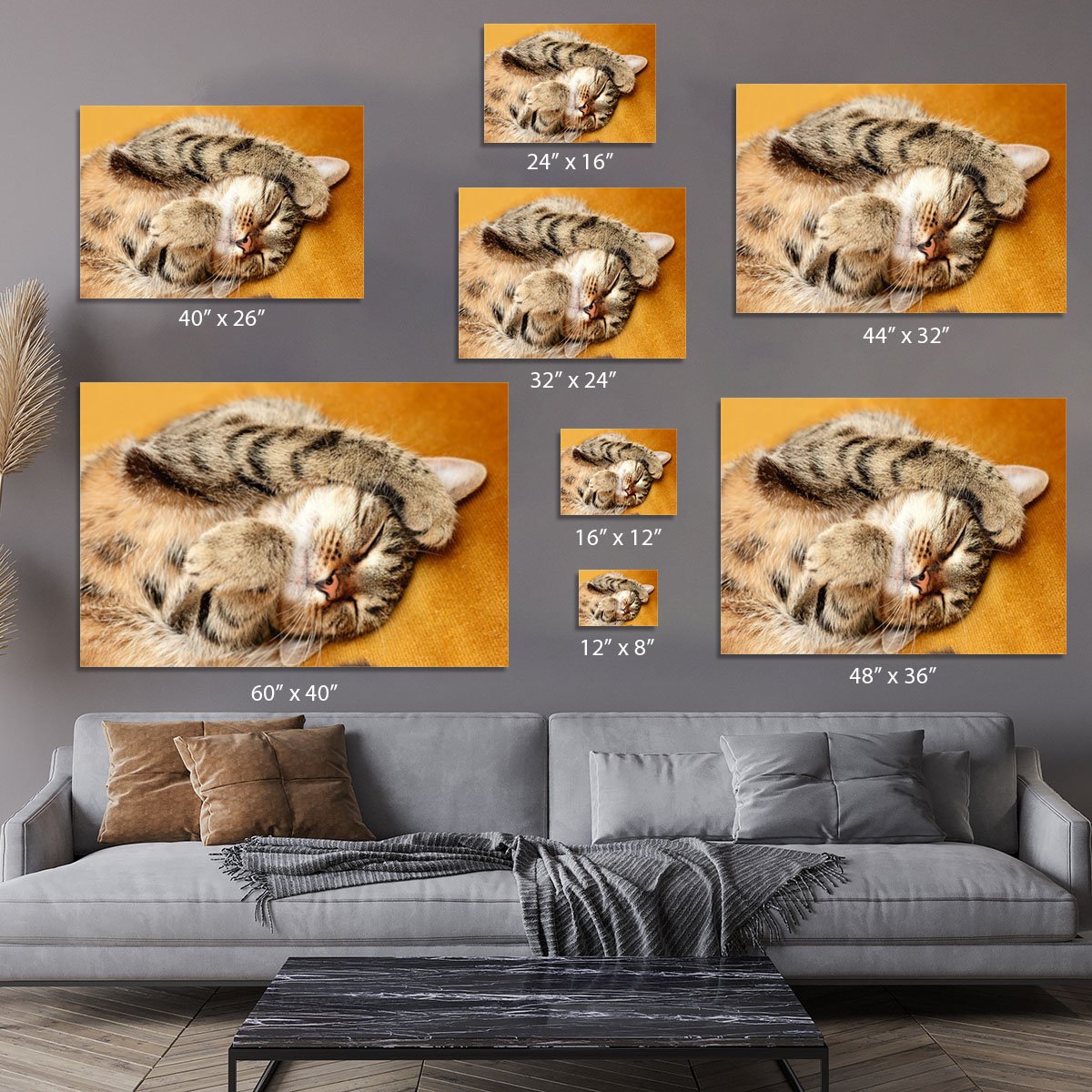 Tabby sweet sleeping on the bed Canvas Print or Poster