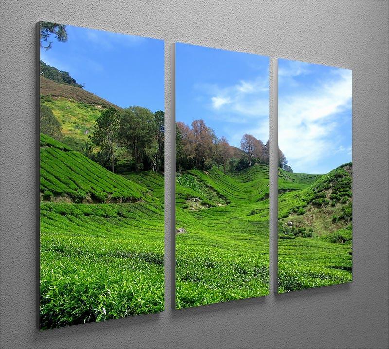Tea Mountain 3 Split Panel Canvas Print - Canvas Art Rocks - 2