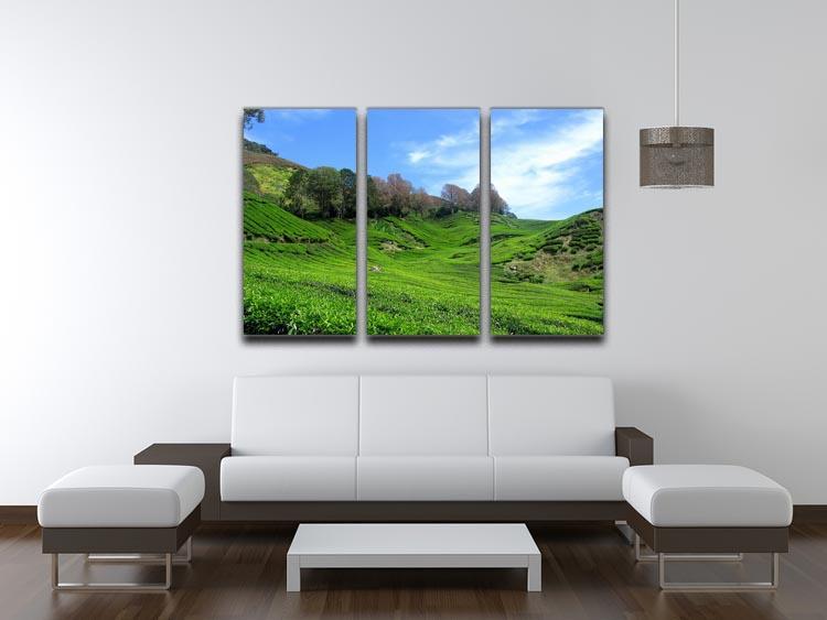 Tea Mountain 3 Split Panel Canvas Print - Canvas Art Rocks - 3