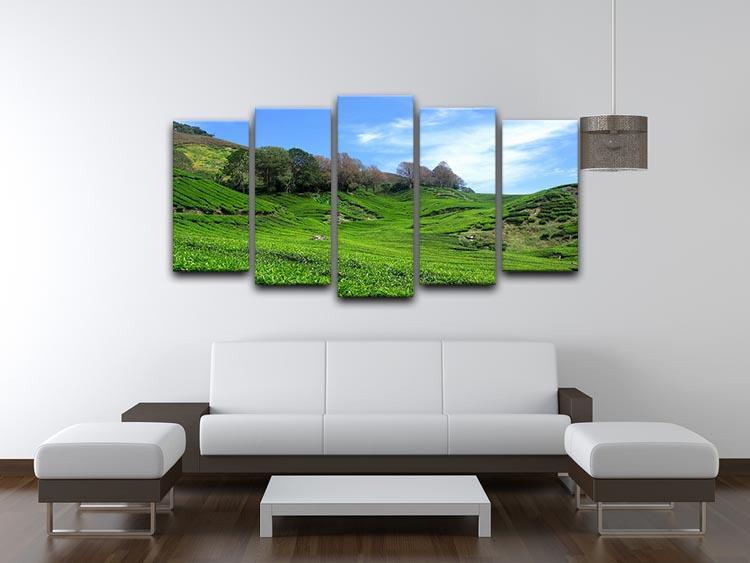 Tea Mountain 5 Split Panel Canvas  - Canvas Art Rocks - 3