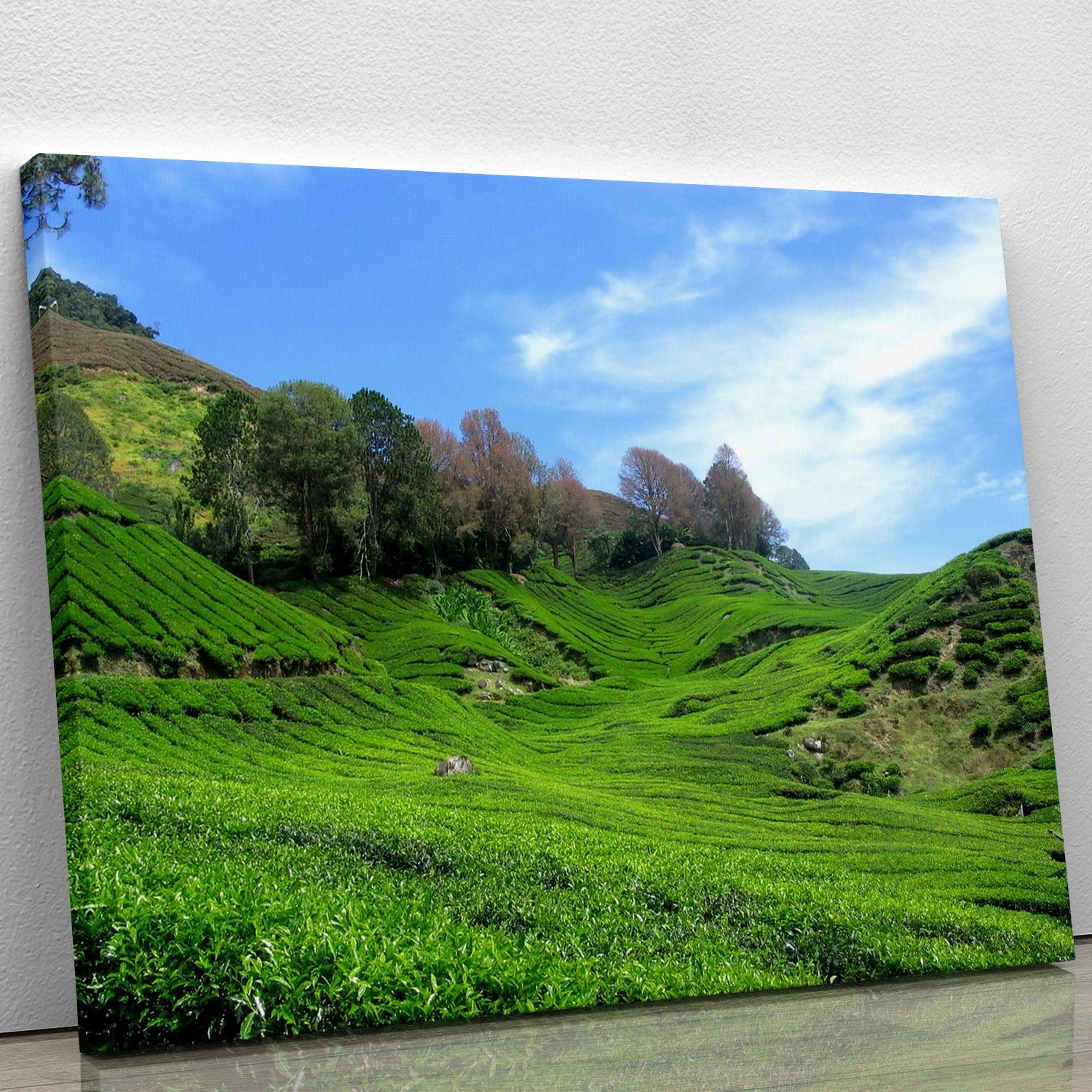Tea Mountain Canvas Print or Poster