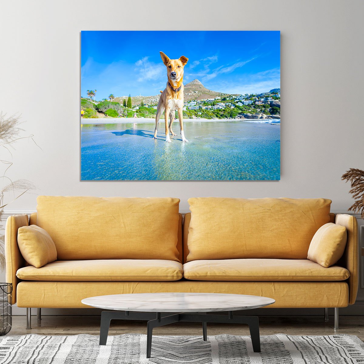 Terrier dog having fun Canvas Print or Poster