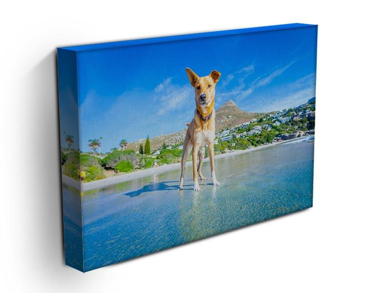 Terrier dog having fun Canvas Print or Poster - Canvas Art Rocks - 3