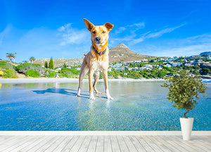 Terrier dog having fun Wall Mural Wallpaper - Canvas Art Rocks - 4