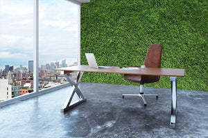 Texture of green grass Wall Mural Wallpaper - Canvas Art Rocks - 3