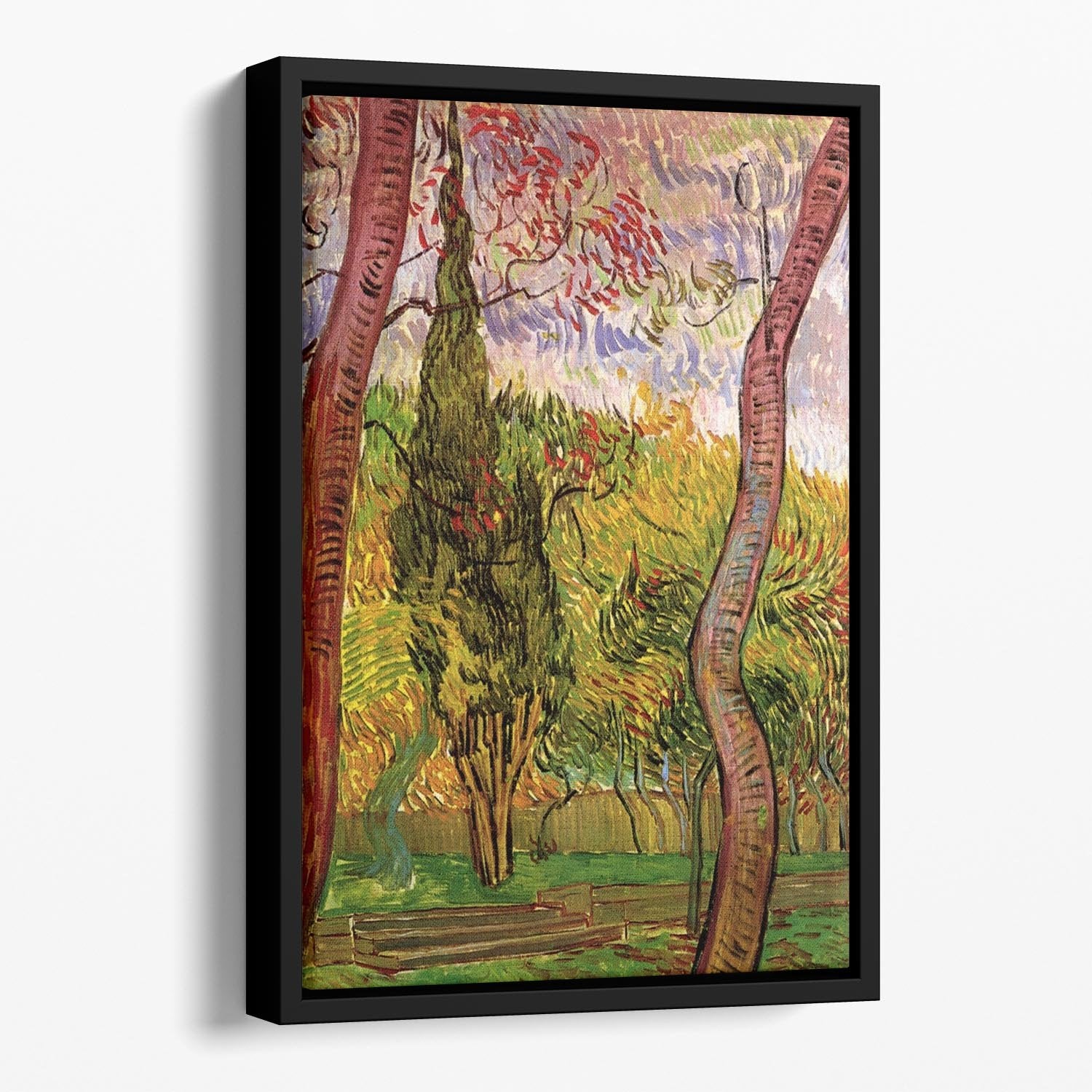 The Garden of Saint-Paul Hospital 2 by Van Gogh Floating Framed Canvas