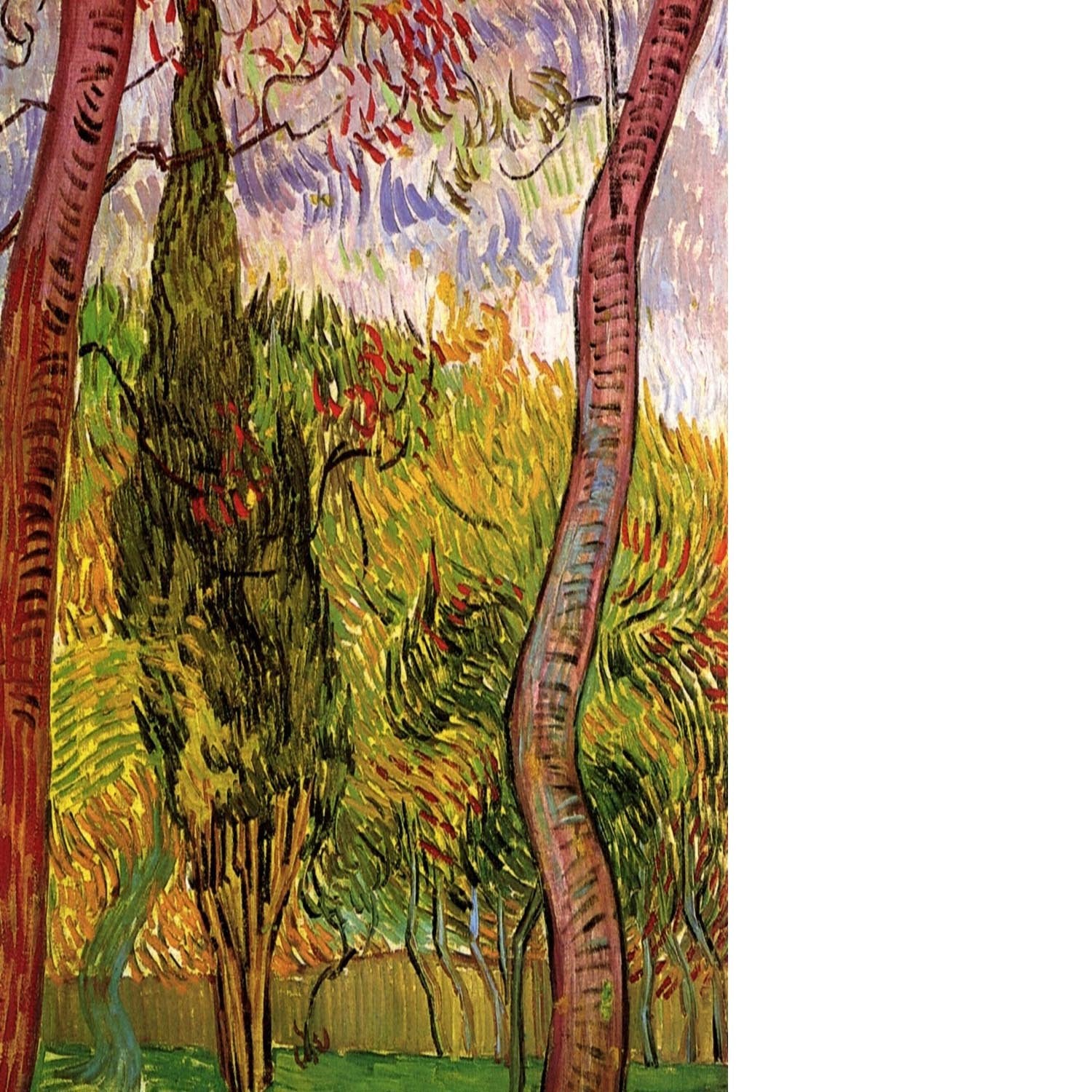 The Garden of Saint-Paul Hospital 2 by Van Gogh Floating Framed Canvas