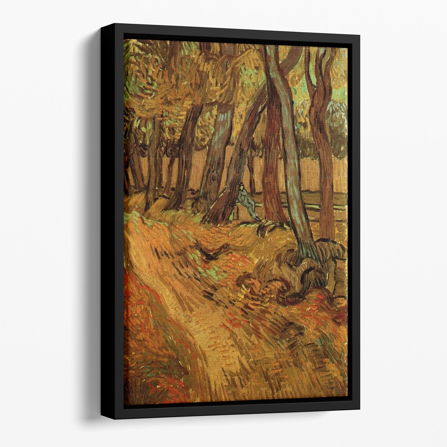 The Garden of Saint-Paul Hospital with Figure by Van Gogh Floating Framed Canvas
