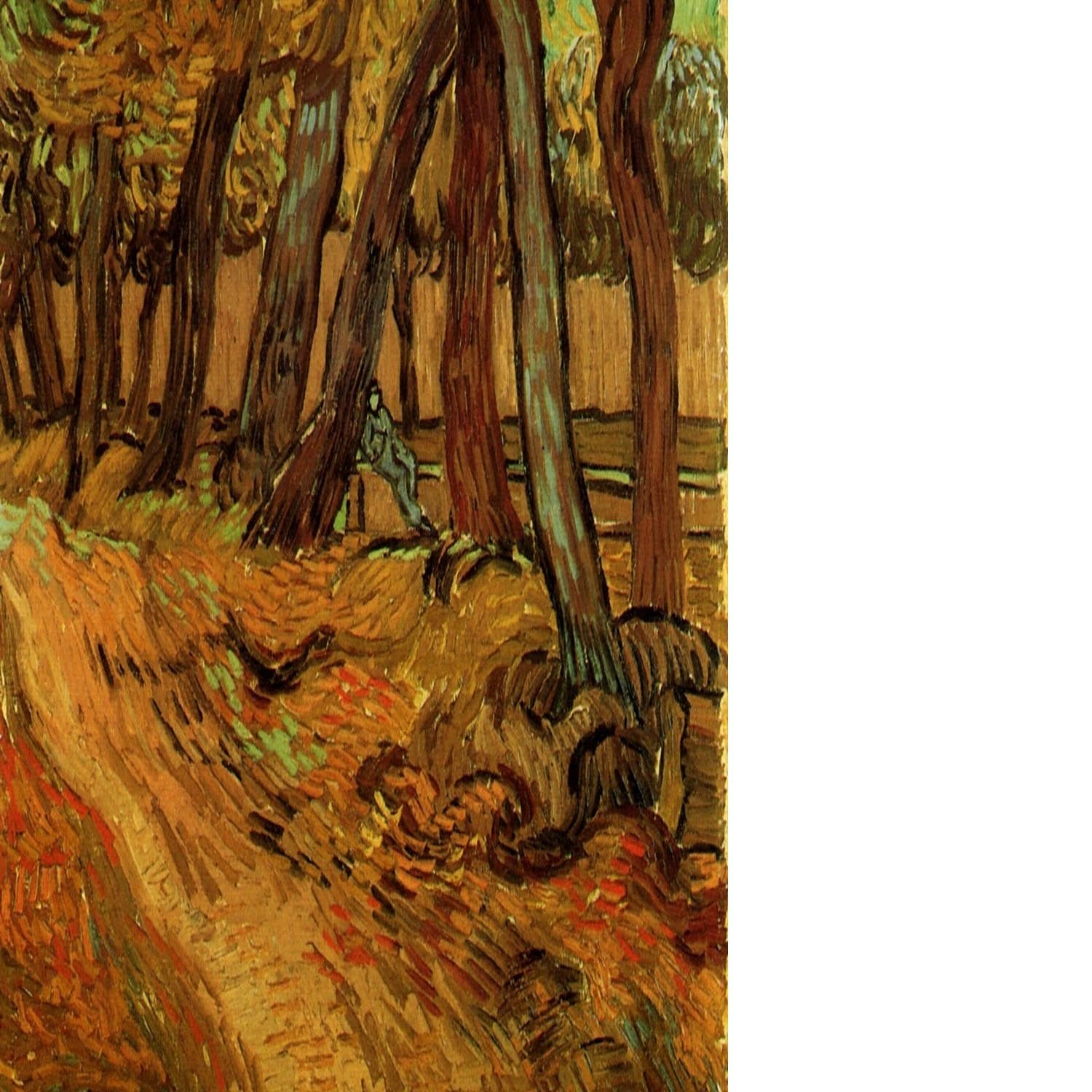 The Garden of Saint-Paul Hospital with Figure by Van Gogh Floating Framed Canvas