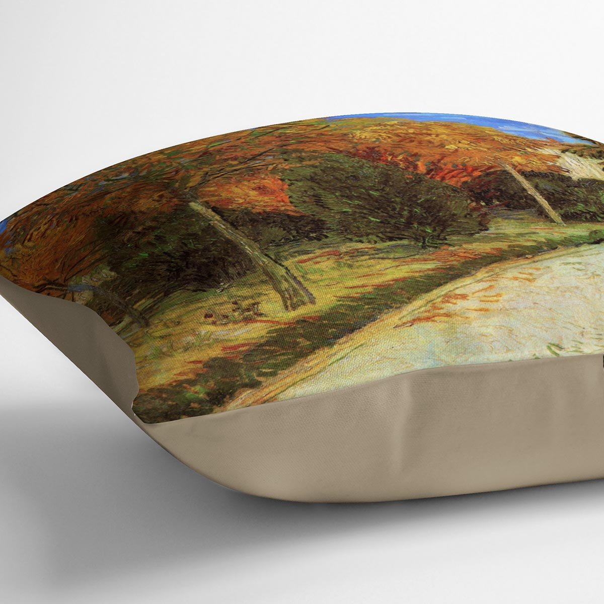 The Public Park at Arles by Van Gogh Throw Pillow