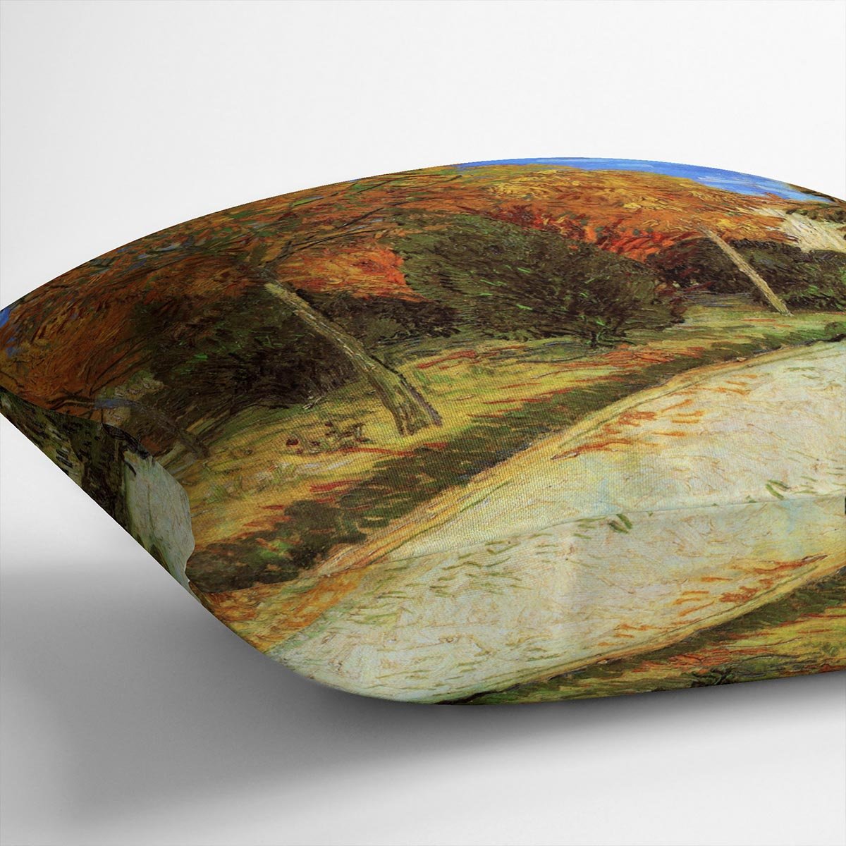 The Public Park at Arles by Van Gogh Throw Pillow