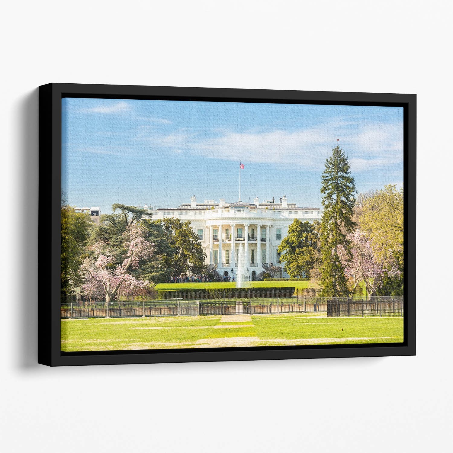 The White House Blossoms Floating Framed Canvas