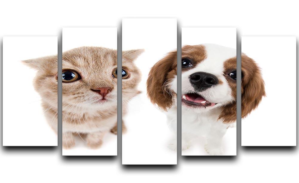 The beautiful brown little kitten with dog 5 Split Panel Canvas - Canvas Art Rocks - 1