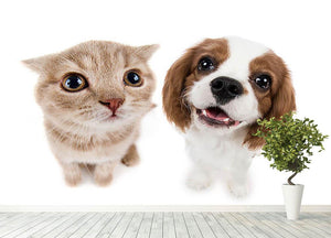 The beautiful brown little kitten with dog Wall Mural Wallpaper - Canvas Art Rocks - 4