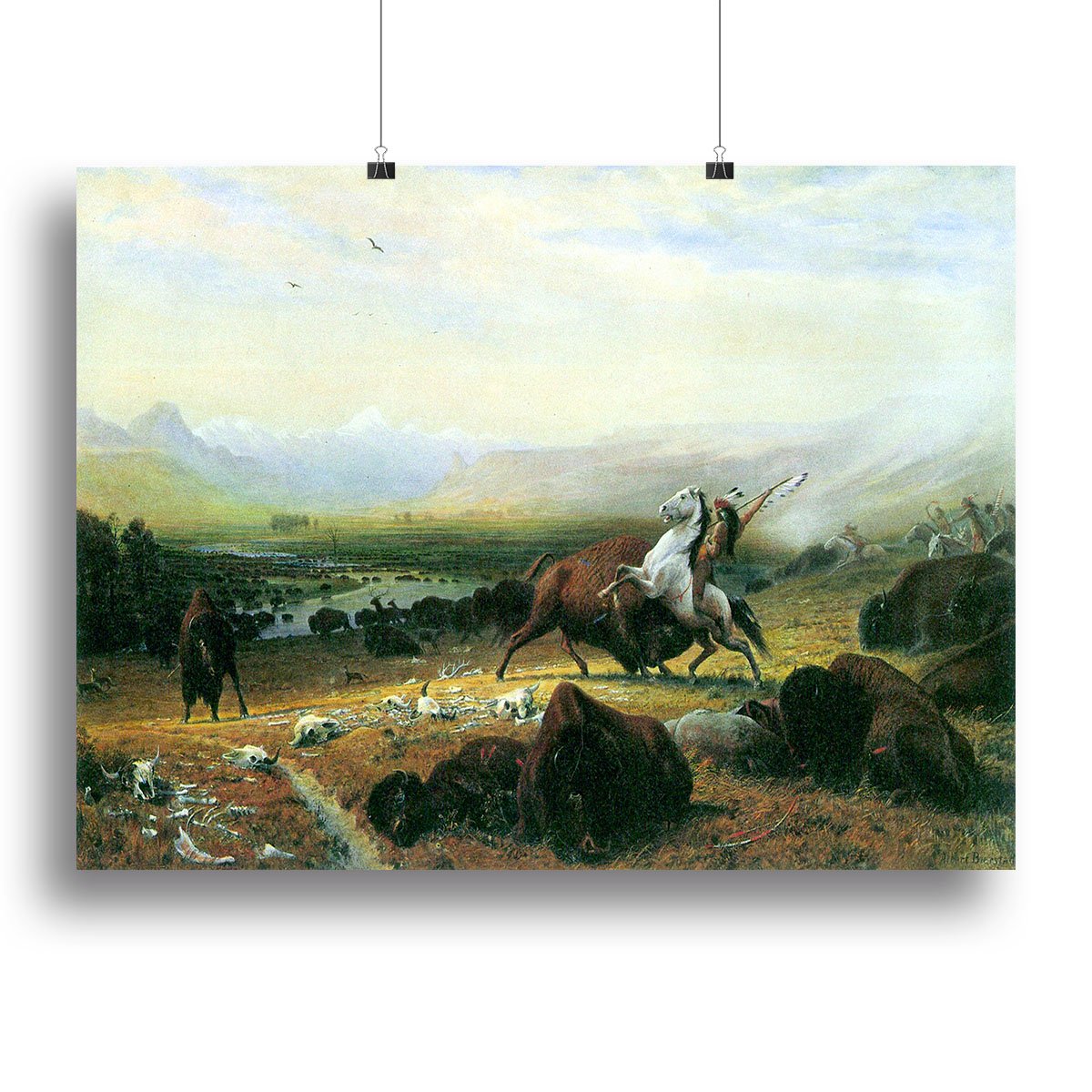 The last Buffalo by Bierstadt Canvas Print or Poster