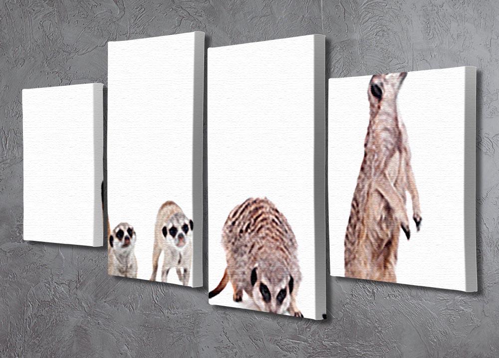 The meerkats on white 4 Split Panel Canvas - Canvas Art Rocks - 2